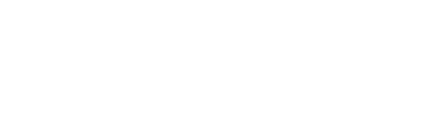 No Problemo Movers