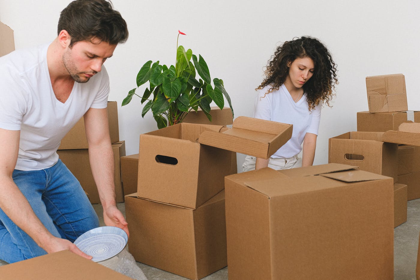 No Problemo Movers movers at work in Sterling